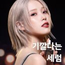 네이처보그 | [17Mag] 전 올리브영 알바 & 현 화장품회사 인턴이 꼽은 BEST 세럼 모음zip