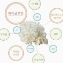 미강바이오