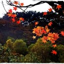 문수사 승강장 이미지