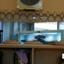 송정송어장 이미지