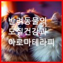 쉽게 배우는 강아지 아로마 테라피 | 🐾 반려동물의 모질 관리와 아로마테라피
