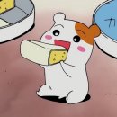 와써 이미지