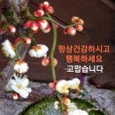 (주)엠케이 이미지