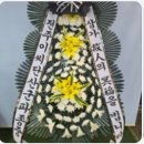 효성성모병원 이미지