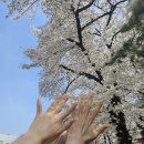 디딤청소년활동센터 | [2년 전 오늘] 청소년 명상캠프 국립중앙청소년디딤센터 힐링캠프 후기