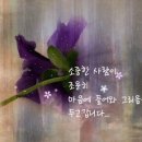 온화 이미지
