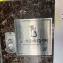밀양동물메디컬센터 이미지