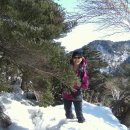 왕관휴게소