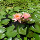 등대회관 이미지