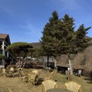 테라스의 아침 이미지