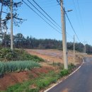 북신안장례식장 이미지