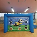 바이킹스포츠 이미지