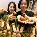 송이패션 이미지