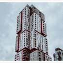 맥행정사 이미지