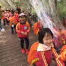 파랑숲어린이집 이미지