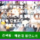 해운대야식 이미지