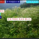 사과나무부동산중개사무소 이미지