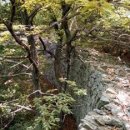 창원 청룡대 각석 이미지