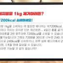 사십피트