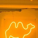 논현2-118 이미지