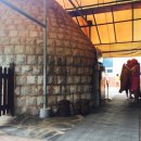 스프링폴 이미지