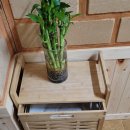 다불촌 독채민박 | 경주독채펜션 다불촌독채펜션 힐링하는 시간