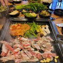 미숙이랑 꼬기랑 이미지