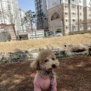 독트레이닝온 이미지