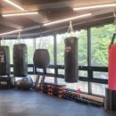 E.L GYM 이미지