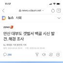 안산 대부도 갯벌서 백골 시신 발견..해경 조사 이미지