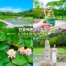 193 | 남양주 봉선사 주차 연꽃 절밥 등 석가탄신일 데이트