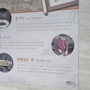 고방찬 남경식당 이미지