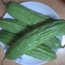 중랑식자재 이미지