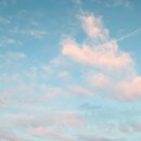 스테이구슬 이미지