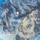 삼방낚시터 이미지