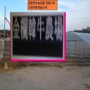 금란한우농장 이미지