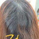 한우리아파트경로당 | 내덕동 천연 염색 세이프존 미용실