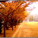 여천모텔 이미지