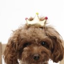 경수약품(주) 이미지