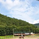 레이크밸리승마클럽 이미지