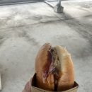 더반디 이미지