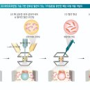 바이오헤드 이미지