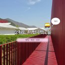 뜰과풍경 | 강원도 여행 1일차 | 풍년뜰, 젊은달와이파크, 청풍호반케이블카, 호텔인터불고원주, 드래곤차이