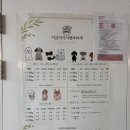 지금여기서행복하개 이미지