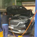 에이스카프라자 이미지