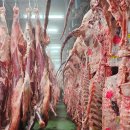 아산협동정육점식당 | 아산 정육점 사장이 알려주는 한우 등심의 모든 것｜아산 한우 선물세트 추천