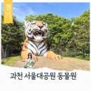 사기막골1공영주차장 | 과천 놀거리 서울대공원 어린이대공원 동물원 데이트 코끼리열차 주차장