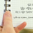 세기의 게임과 대중의 분노 이미지