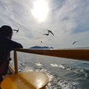 대양낚시터 이미지