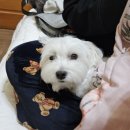 노루목 별장 이미지